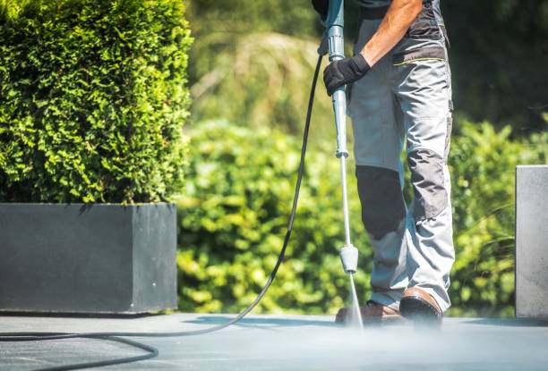 Best Fence Cleaning  in Sedro Woolley, WA