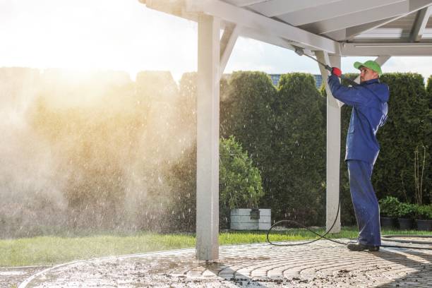 Best Animal Enclosure Cleaning  in Sedro Woolley, WA